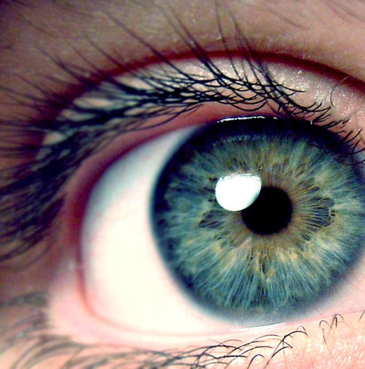 <p>we used to see</p>