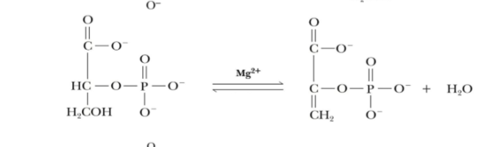 <p>What step is this and what are the products and reactants</p>