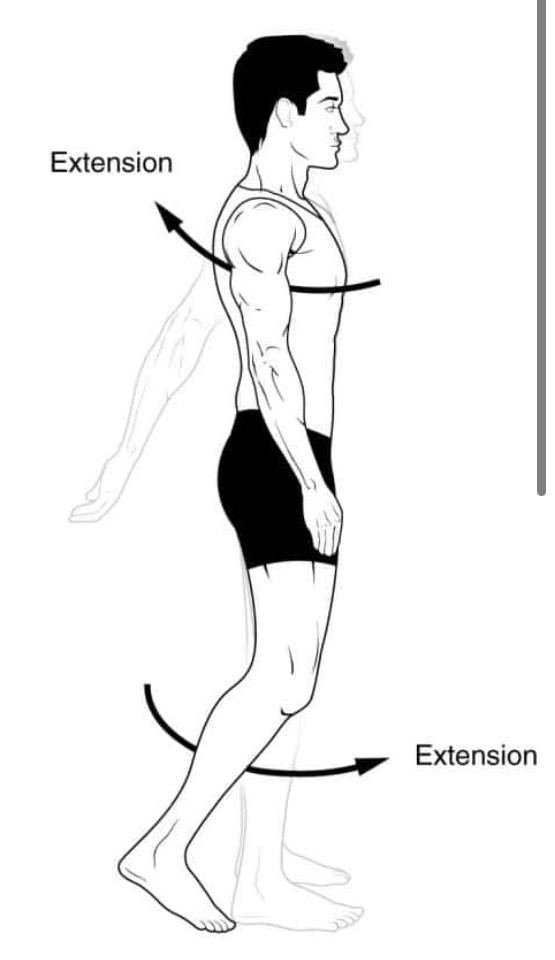 <p>Sagittal plans, frontal axis</p>