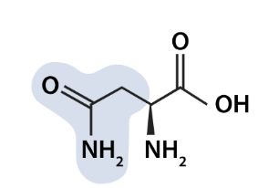 <p>what aa is this</p>