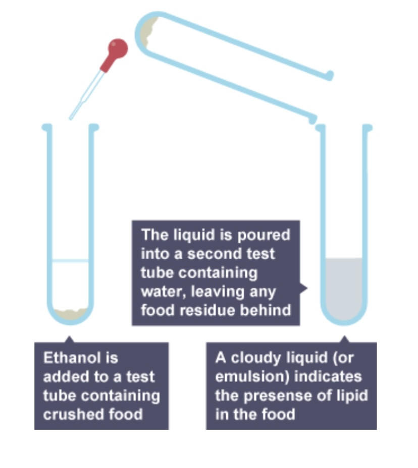 <p>What is the name for this food test?</p>