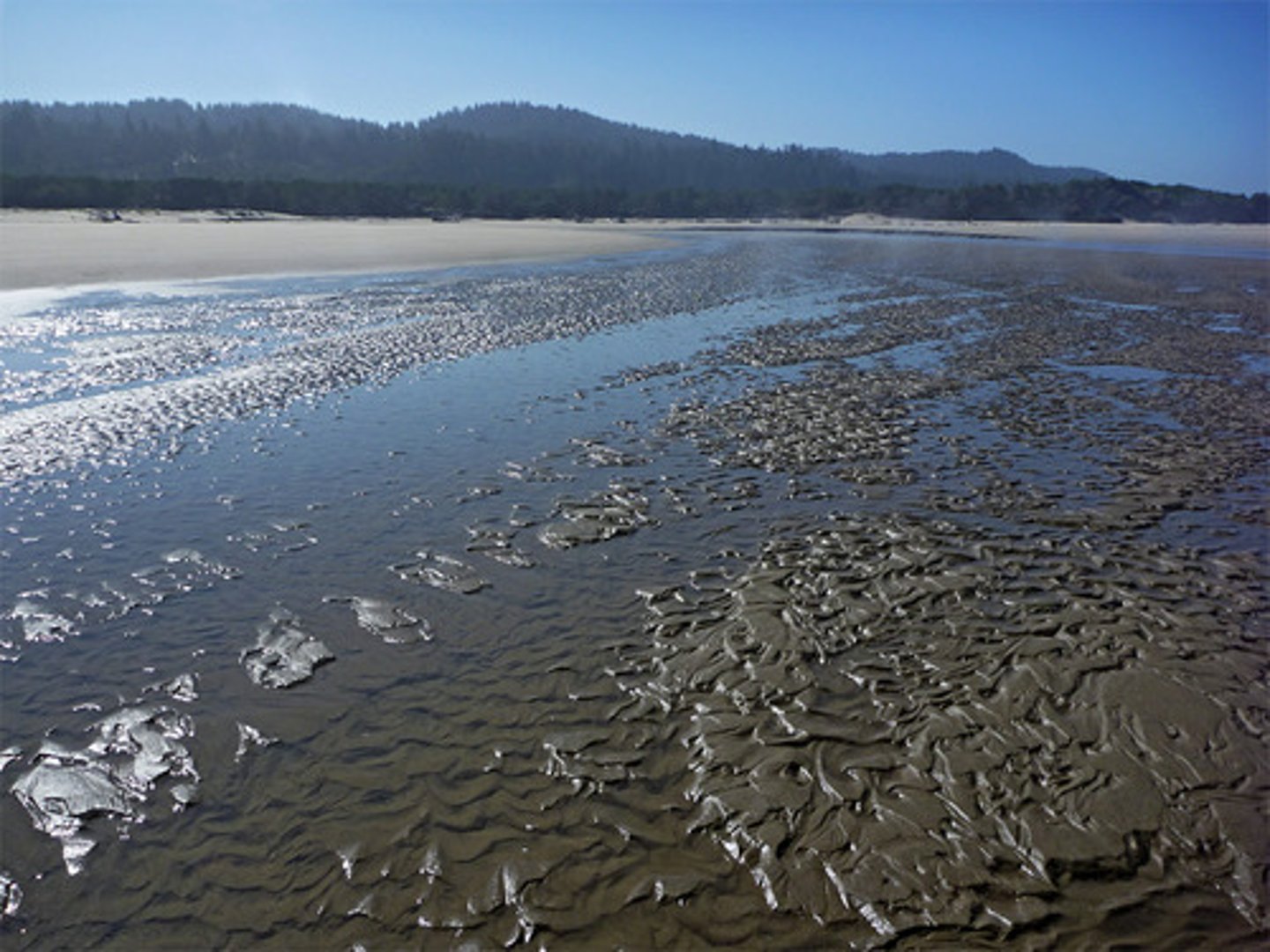 <p>Shallow, often muddy, part of foreshore, which are covered and uncovered by the rise and fall of the tide</p>
