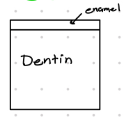 <p>Which type of scale is this?</p>