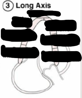 <p>Identify this image. </p>