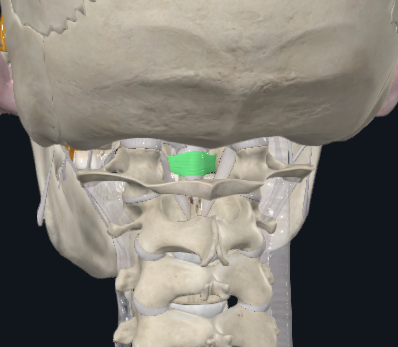 <p>What is highlighted green</p>