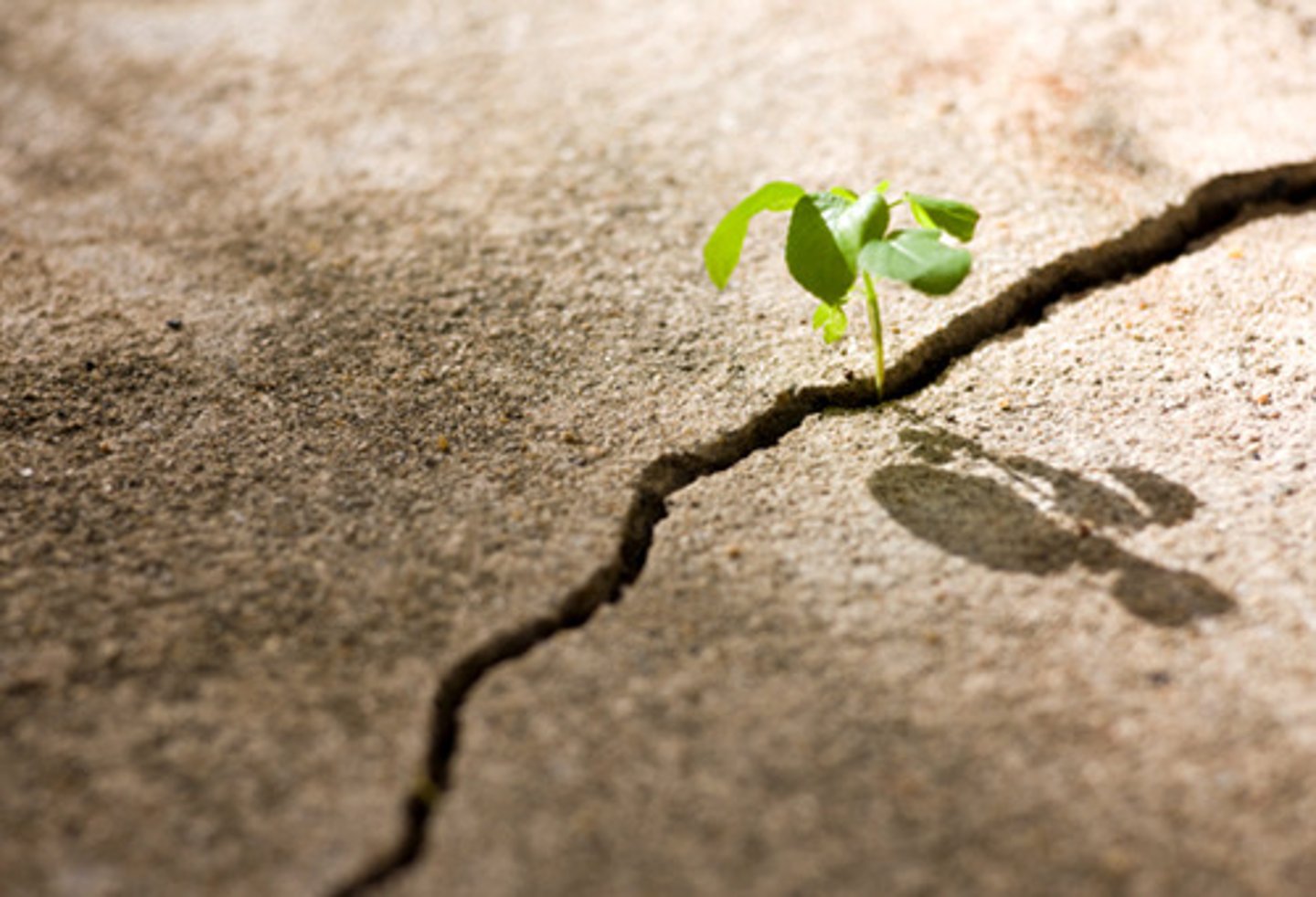 <p>hardship; misfortune</p>