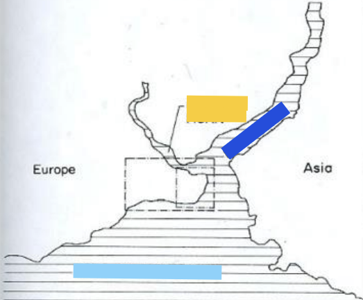 <p>Label yellow, blue, teal</p>