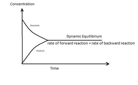 <p>rate of the forward reaction is the same as the rate of the reverse reaction</p>