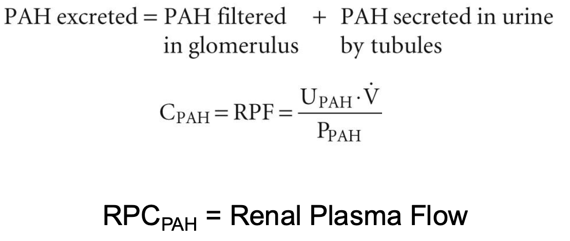 <ul><li><p>the volume of plasma going to the kidneys per minute</p></li><li><p>PAH is freely filtered and essentially 100% secreted</p></li><li><p>normal RPF is 625 mL/min</p></li></ul><p></p>