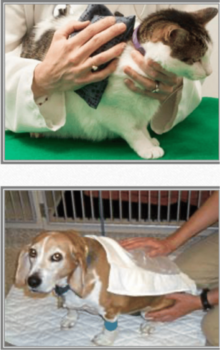 <p>function of thermotherapy</p>