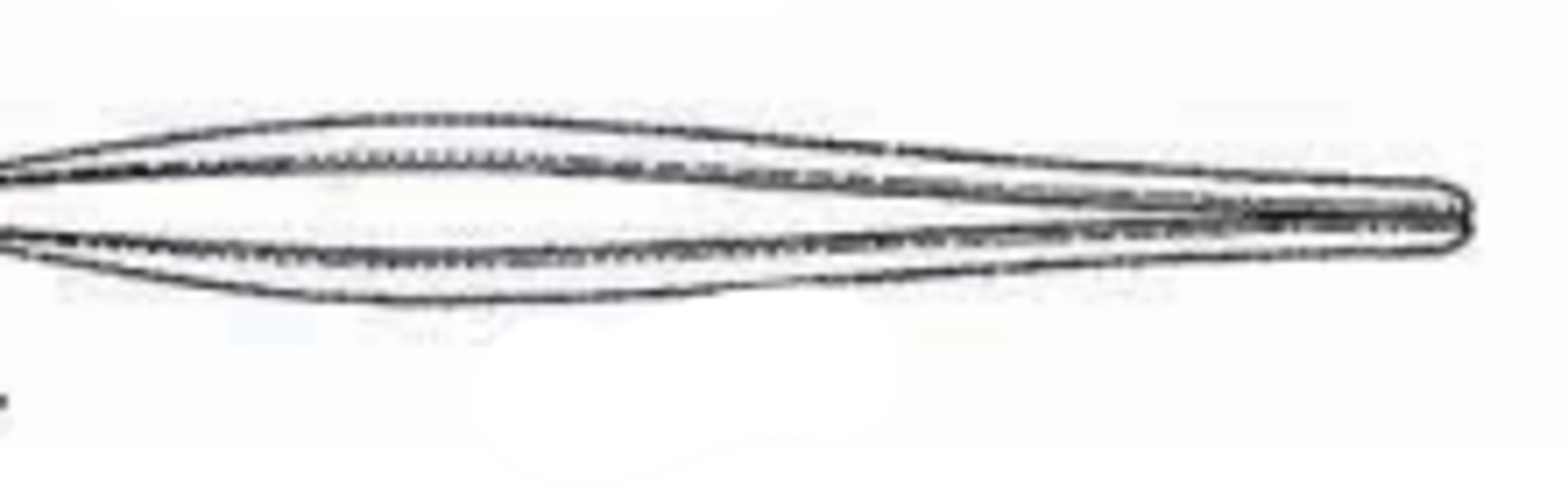 <p>Name the laboratory equipment</p>