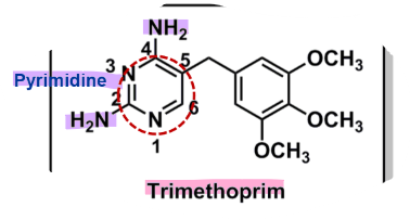 <ul><li><p>diaminopyrimadine derivative </p></li><li><p>inhibits enzyme<strong> dihydrofolate reductase </strong>(DHFR)</p><ul><li><p>highly selective to bacterial DHFR (40,000x) </p></li></ul></li><li><p>primary amines important for activity </p></li><li><p><u>pharmacophore:</u> <strong>pyrimidine</strong></p></li><li><p><strong>oral</strong></p></li></ul>