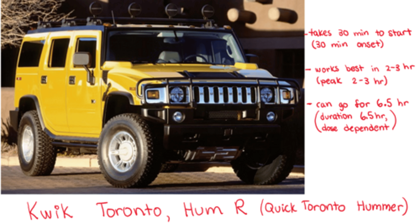 <p>- Novolin ge Toronto</p><p>- Humulin R</p><p>- Entuzity (KwikPen) => 5x more concentrated; for high daily insulin requirements</p>