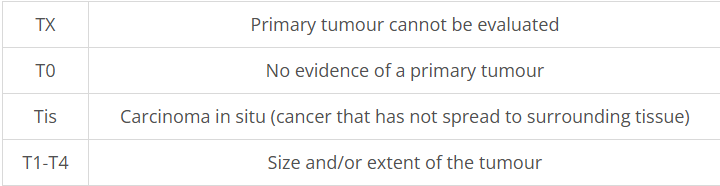<p>describes the original (primary) tumour</p>