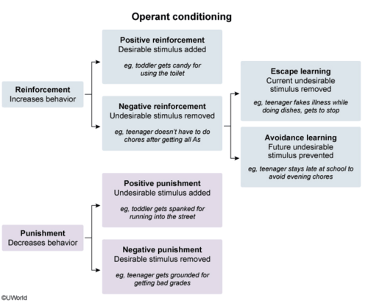 <p><strong>escape learning:</strong> current undesirable stimulus removed</p><p>(teenager fakes illness while doing dishes, gets to stop)</p><p>(dog jumps over the partition to flee or stop electric shock)</p><p></p><p></p><p></p><p></p><p><strong>avoidance learning: </strong>future undesirable stimulus prevented</p><p>(teenager stays late at school to avoid evening chores)</p><p>(dog jumps over the partition to avoid electric shock before it occurs)</p>