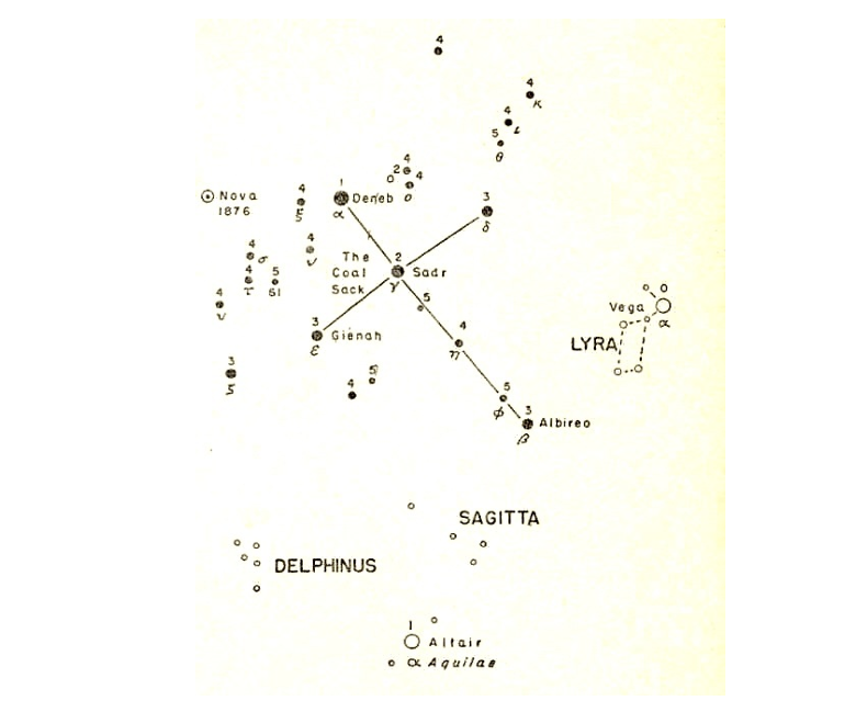 <p>What constellation is this?</p>