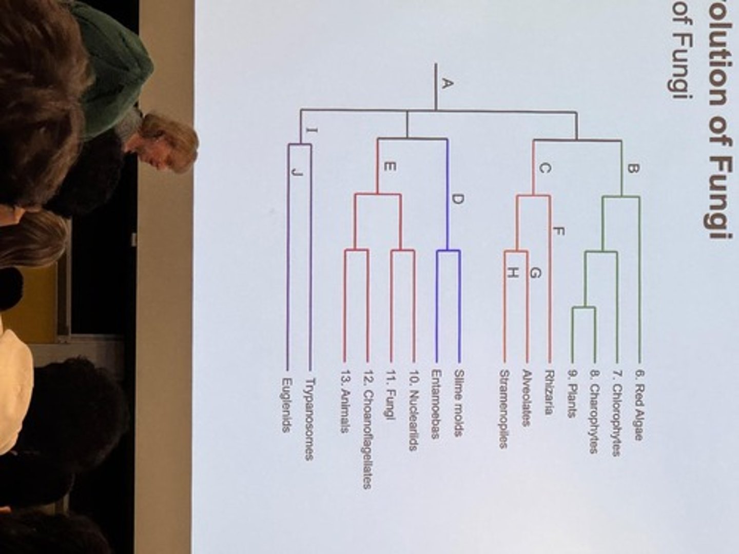 <p>Science of describing, naming, &amp; classifying organisms.</p>