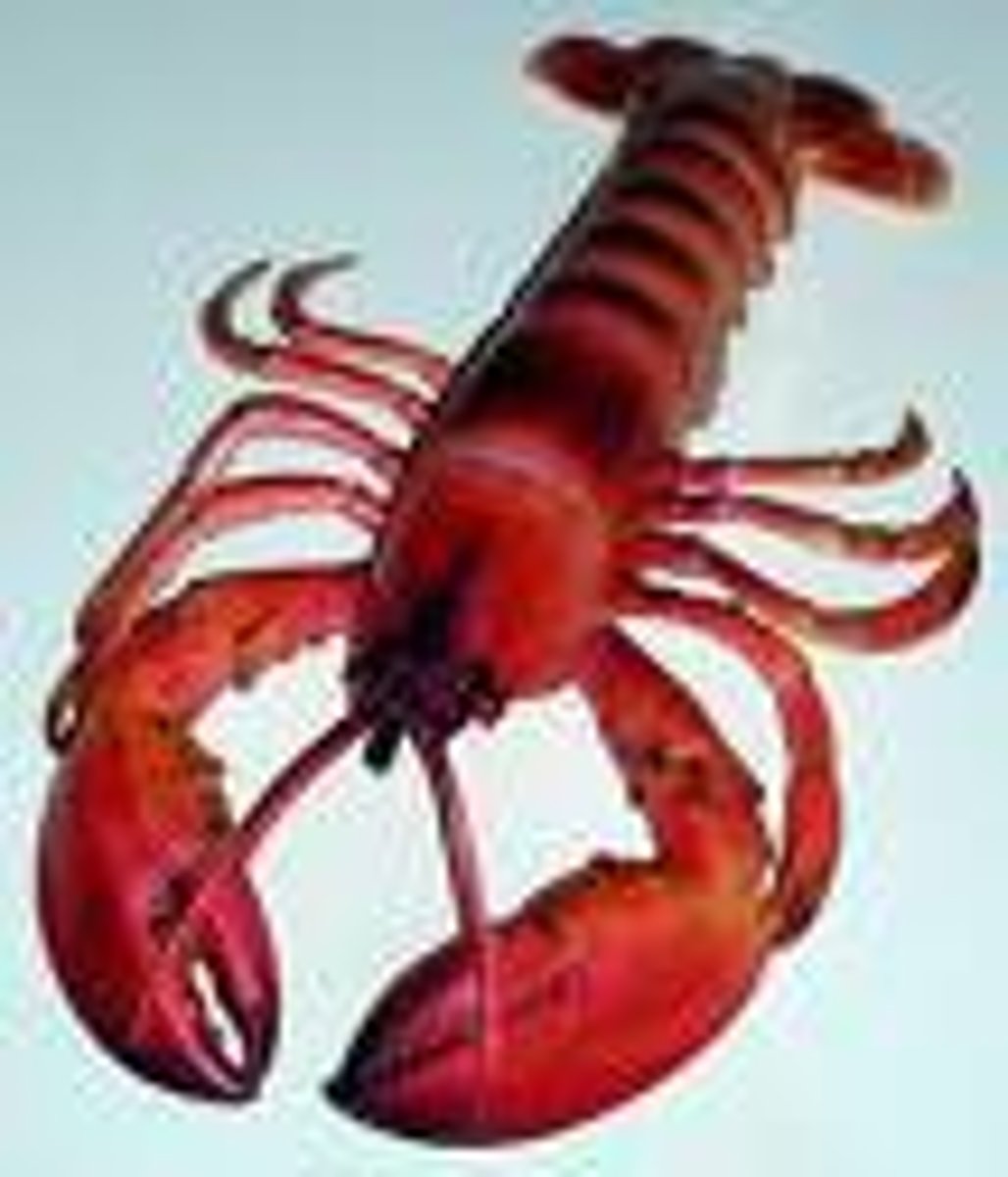 <p>A decapod, usually with large claws. Commonly used for food.</p>