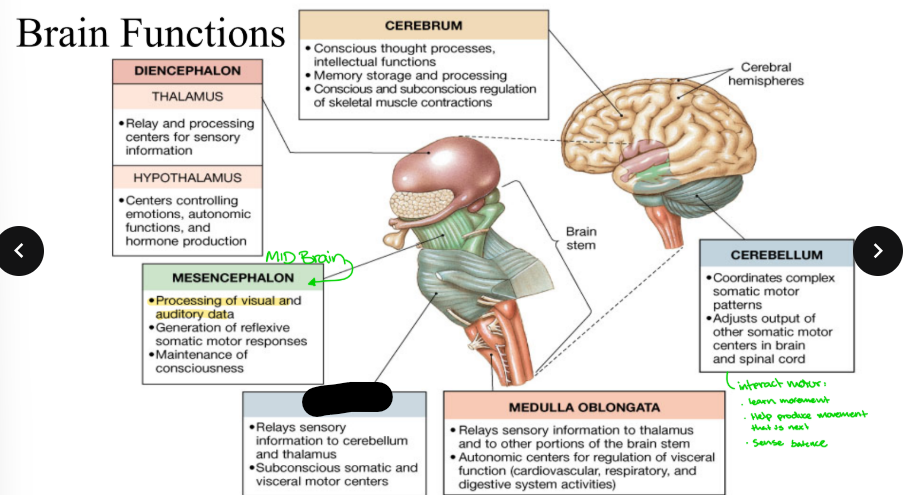 <p>What part is blacked out?</p>