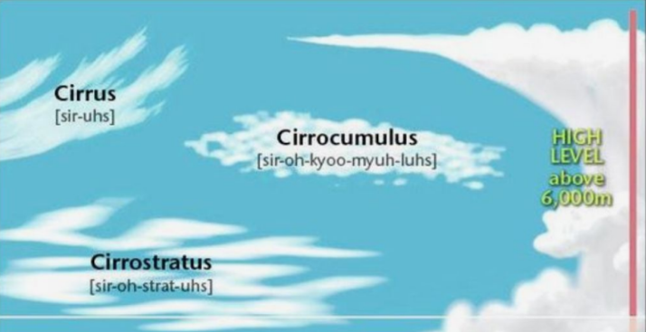 <ul><li><p>Above 6000 meters, made of ice crystals (begins with the prefix <strong>cirro</strong>)</p><ul><li><p>A. <strong>Cirrus: </strong>High altitude wispy clouds. They are usually quite thin and often have a hairlike appearance</p></li><li><p>B. <strong>Cirrocumulus: </strong>Small puffy clouds that look like a group of cotton balls</p></li><li><p>C. <strong>Cirrostratus: </strong>A thin layer of clouds. The sky appears slightly milky than dark blue. Often has a halo around the sun</p></li></ul></li></ul><p></p>