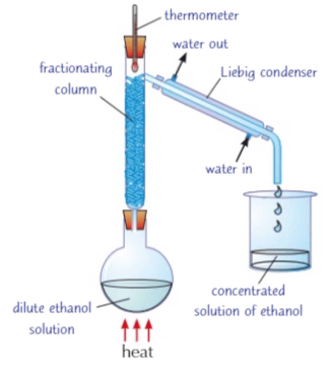 <ul><li><p>Fractional distillation works because ethanol has a lower boiling point than water so evaporates first</p><ul><li><p> and can be condensed and collected as a concentrated solution of ethanol.</p></li></ul></li><li><p>it’s not possible to obtain pure ethanol by this method alone; the rest must be absorbed chemically</p></li></ul><p></p>