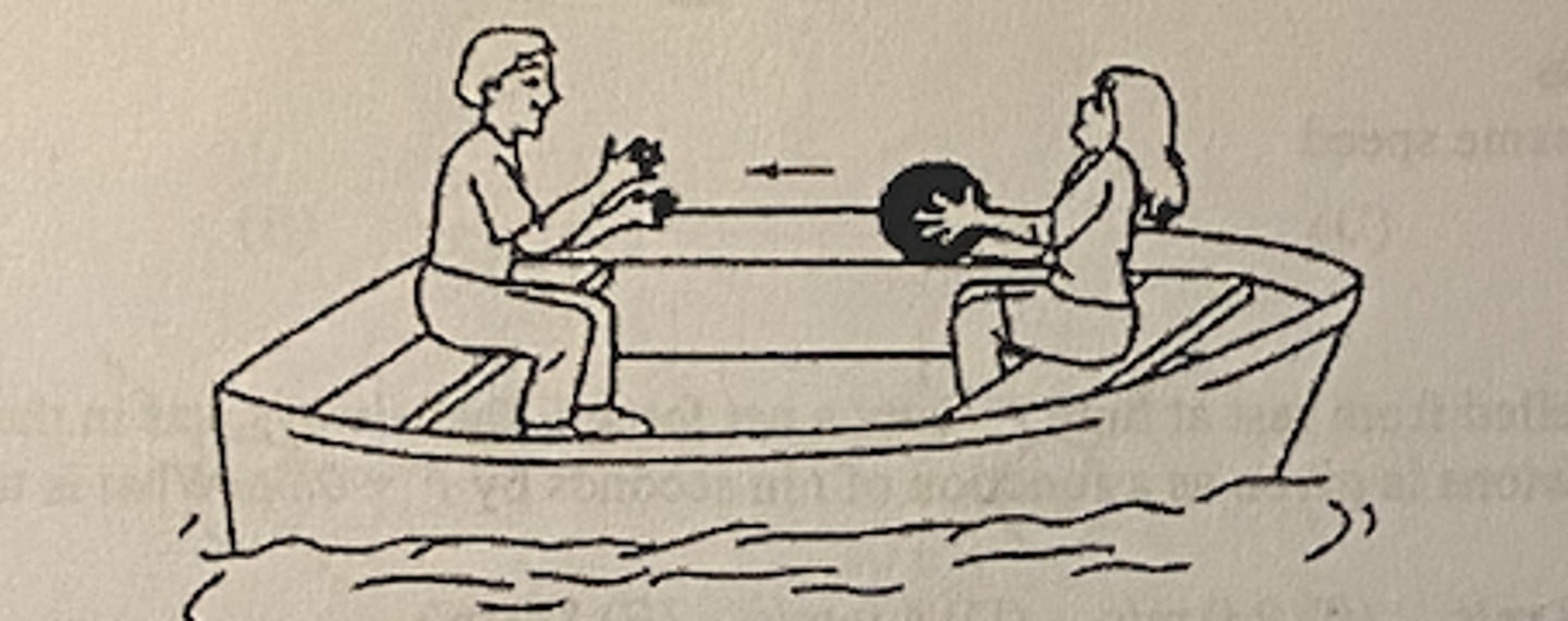 <p>C (=.0 kg*m/s)</p>