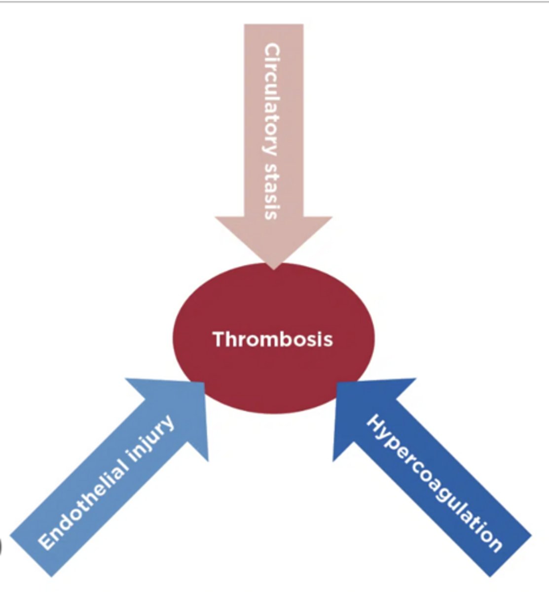 <p>The cornerstone mechanism for thrombosis: venous stasis, endothelial injury, hypercoagulability.</p>