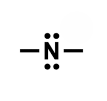 <p>Nitrogen - Two Lone Pairs &amp; Two Bonds</p>