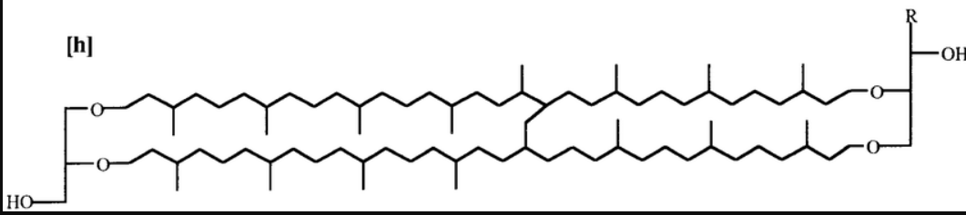 <p>Archaeal Lipid: Two glycerol molecules linked by 2 hydrocarbons (~40 C long)</p>