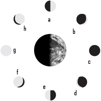 <p>Name the phase of the moon for letter a</p>