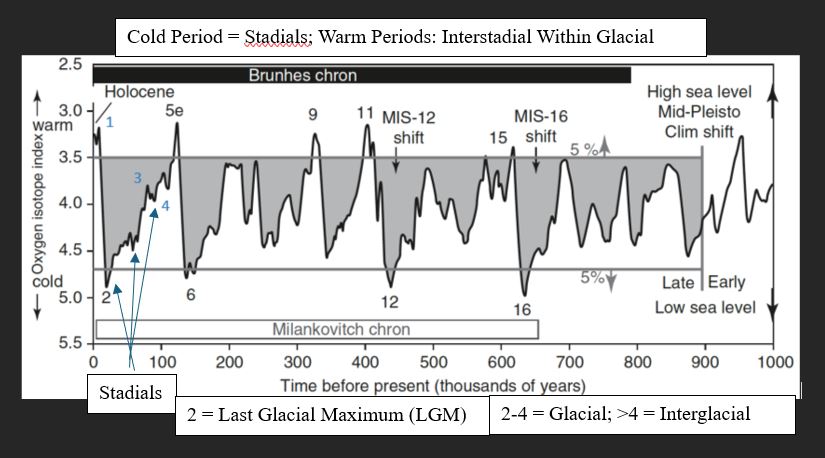 <ul><li><p>Odd = warm periods</p></li><li><p>Even = cold periods</p></li></ul><p></p>