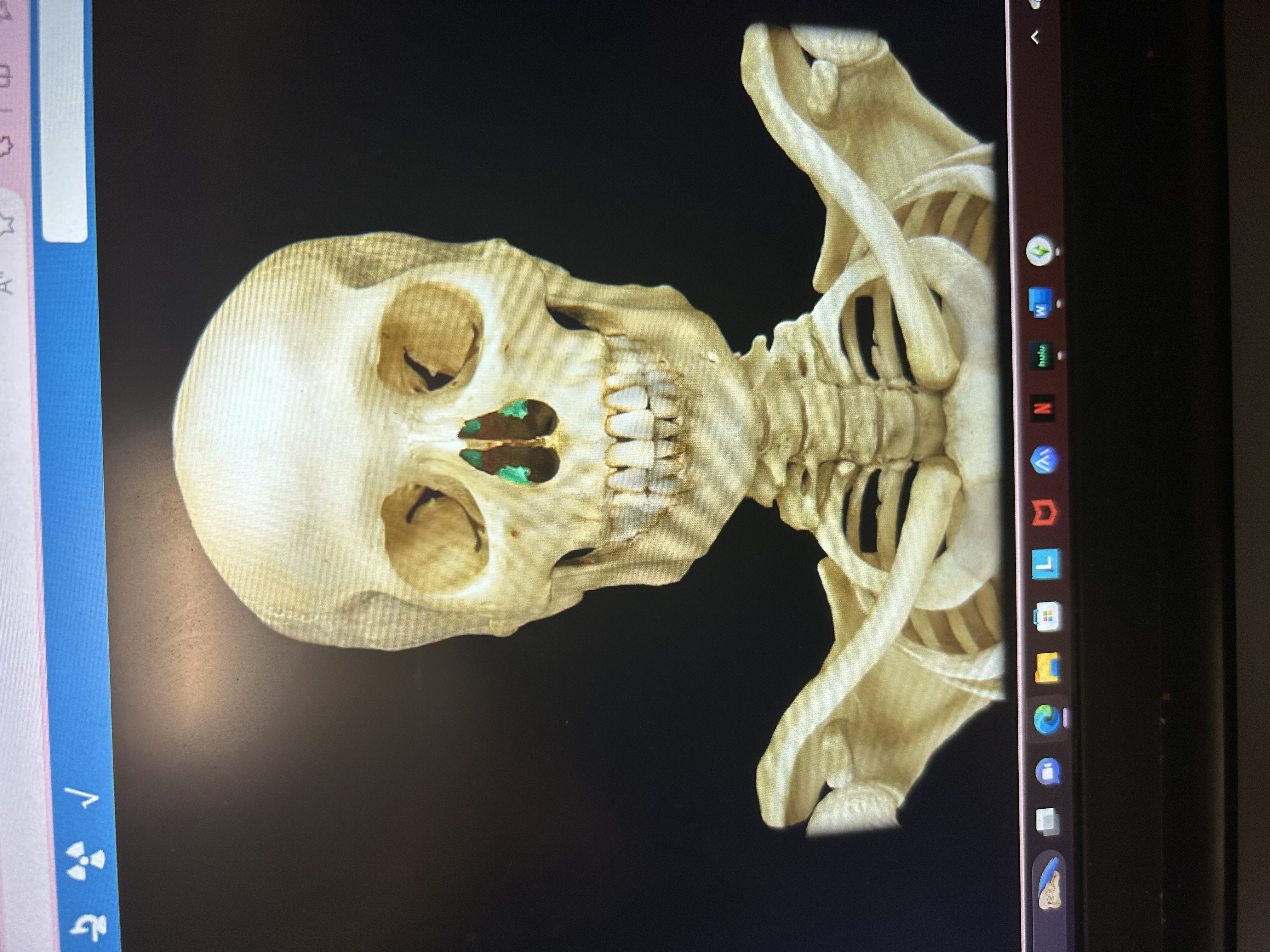 knowt flashcard image