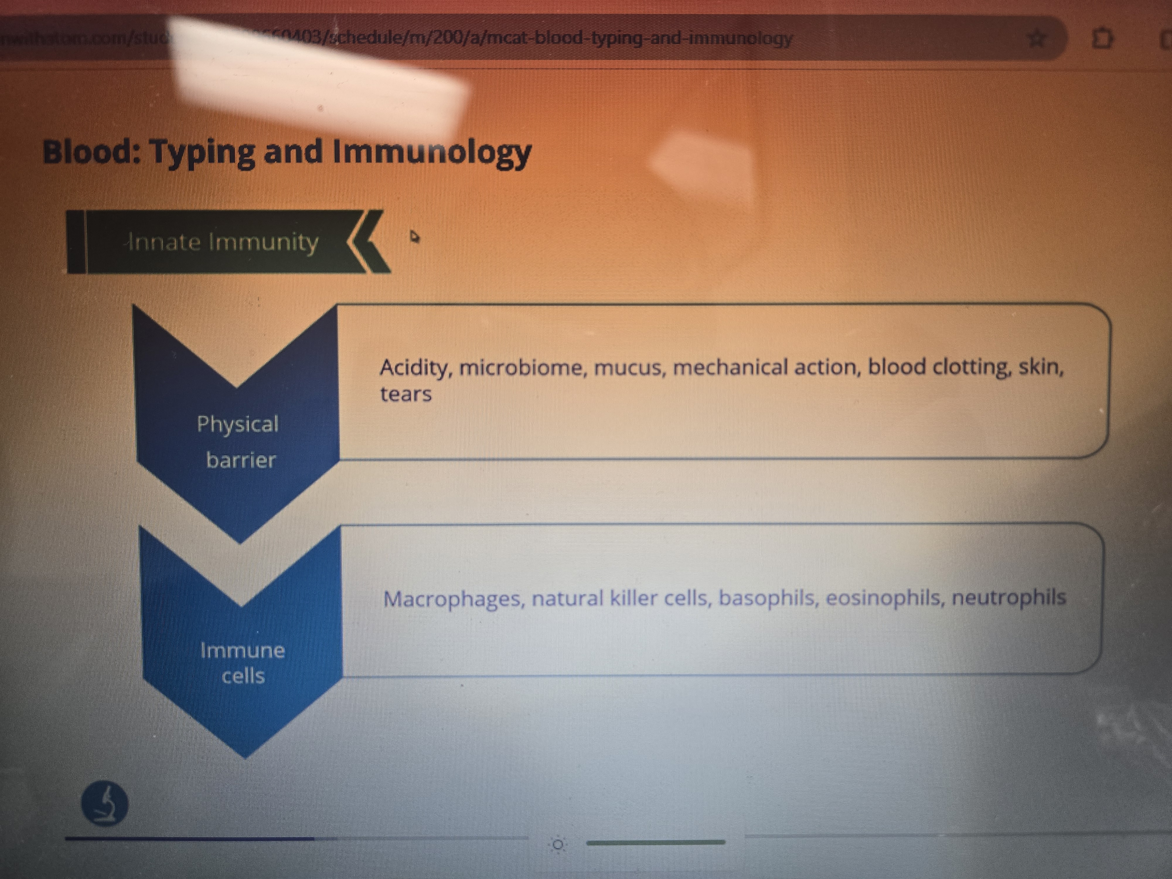 knowt flashcard image