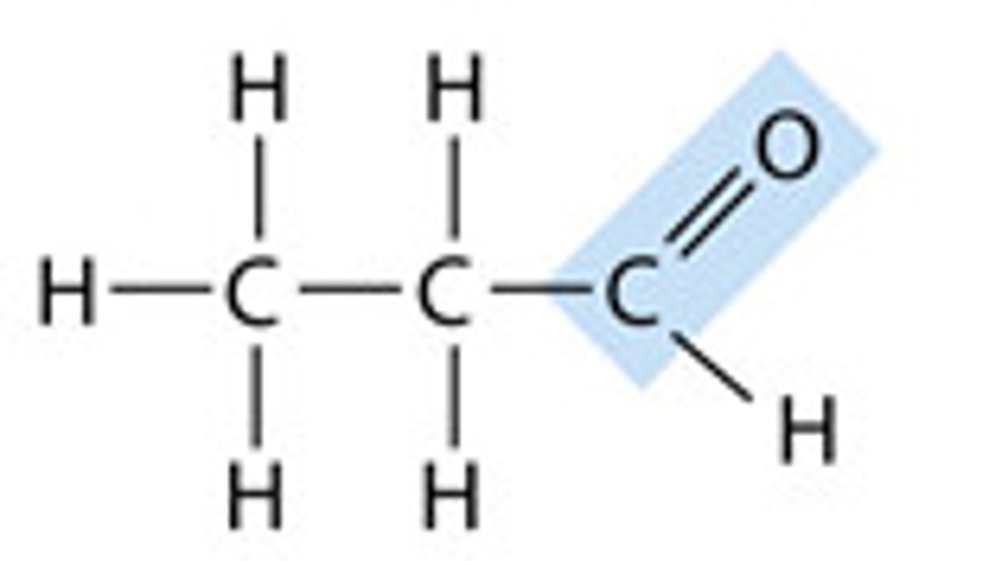 <p>the name for a carbonyl group (c=o) located at either end of a carbon skeleton.</p>