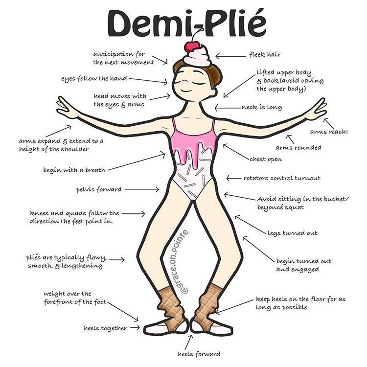 <ol><li><p>Plie = to bend — Demi = small</p></li><li><p>Regardless of position, knees bend until squarely over the toes, with the back staying straight</p></li></ol><p></p>