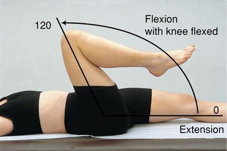 <p>Axis: Greater trochanter of femur</p><p>Proximal Arm: Bisecting trunk (assuming trunk is flat)</p><p>Moving Arm: Bisecting thigh and aiming for lateral epicondyle of knee</p><p>ROM: ~120 degrees</p><p>End-Feel: Firm</p>