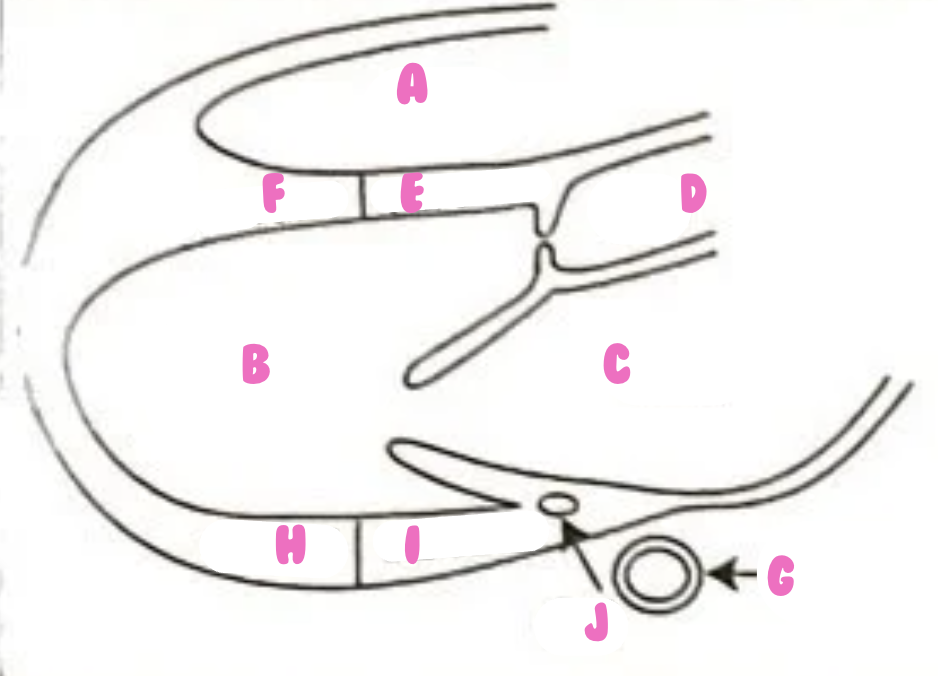 <p><span style="color: rgb(255, 102, 196);"><strong>F</strong></span></p>