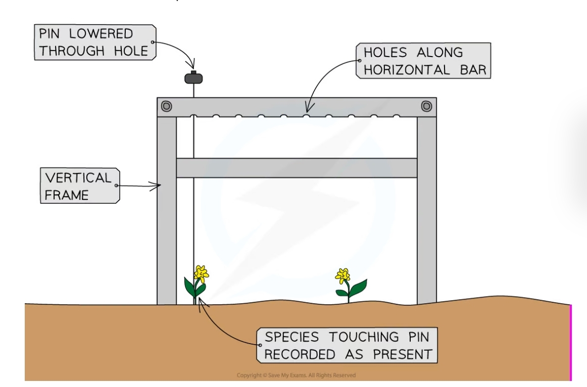 * Areas of dense plant cover as the ground may be difficult to study  using a frame quadrat