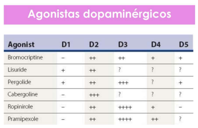 <p>os agonistas dopaminérgicos:</p><ul><li><p>requerem conversão enzimática para metabolito ativo ?</p></li><li><p>atuam em que recetores da dopamina ?</p></li><li><p>tem metabolitos potenciais tóxicos ?</p></li><li><p>competem com outras substâncias pelo transporte ativo para o sangue ?</p></li><li><p>quais são os agonistas mais raramente usados por terem reações adversas mais graves e serem mais antigos ?</p></li></ul><p></p>