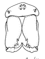 <p></p>