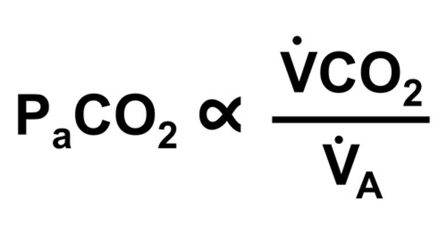 <p>1) pt has high RR and most likely high tidal volumes due to deep breaths —&gt; increased V.E</p><p>2) increased V.E means increased V.A</p><p>3) PaCO2 is proportional to V.CO2/V.A</p><p>4) increased V.A means decreased PaCO2</p>