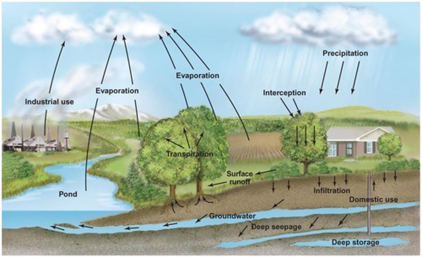 <p>Water's movement from air to Earth and back.</p>