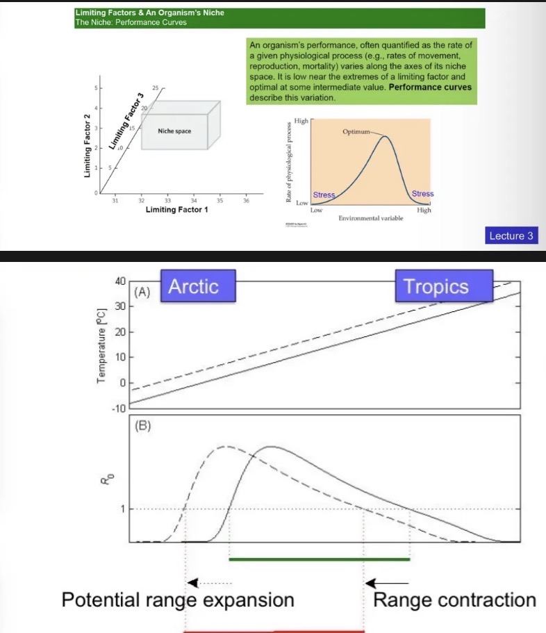 <ul><li><p>A species’ distribution is constrained by the species’ tolerances to various environmental variables.</p></li><li><p>Shifting climates can, thus, lead to local population declines & extinctions, as well as the colonization and establishment in new areas.</p></li><li><p>As a result, range shifts, range contractions, and range expansions may occur, depending on the species’ niche flexibility and dispersal ability.</p></li><li><p>(A) a simplified temperature gradient from the Arctic (cold) to the equator (warm);</p></li><li><p>(B) a hypothetical species’ corresponding (temperature-dependent) R0. The species can establish in regions where R0≥1.</p></li><li><p>Following climate warming (dashed lines), the species will go extinct (R0<1) in some tropical regions, and may expand its range into Arctic areas where R0 is now larger than 1.</p></li></ul><p></p>