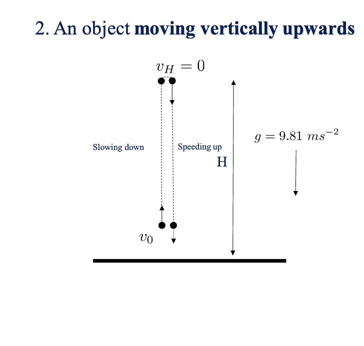 <p>a=-9.8 m/s<sup>2</sup></p>