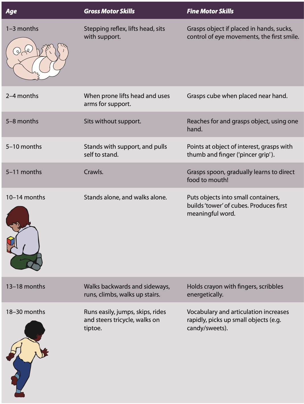 <p>At birth the infant has a number of well-developed motor skills, which include <em>sucking</em>, <em>looking</em>, <em>grasping</em>, <em>breathing</em>, <em>crying</em> – skills that are <u>vital for survival</u>.</p><p class="p1">However, the general impression of the newborn is one of uncoordinated inability and general weakness. </p><ul><li><p class="p1">Movements of the limbs appear jerky and uncoordinated;</p></li><li><p class="p1">It takes a few weeks before infants can lift their head from a prone position.</p></li><li><p class="p1">The muscles are clearly <em>unable to support the baby’s weight</em> in order to allow such basic activities as sitting, rolling over or standing. </p></li></ul><p class="p1">By the end of infancy, around 18 months, all this has changed. The toddler can <em>walk</em>, <em>run</em>, <em>climb</em>, <em>communicate</em> in speech and gesture, and use the two hands in <em>complex coordinated actions.</em></p>