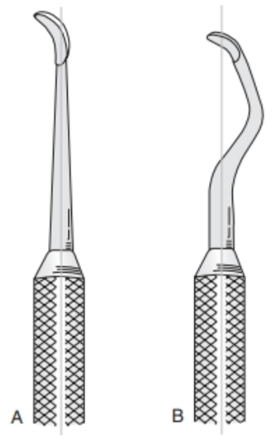 <p>Which instrument (A or B) is better used for scaling the rostral portion of the mouth?</p>