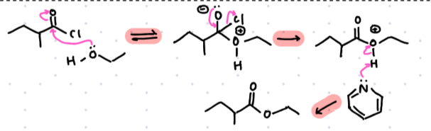 <p><strong>Formation of anhydrides:</strong> pyridine first deprotonates the reagent (reagent on reagent crime)<br><br><strong>Formation of esters</strong>: the oxygen of the alcohol attacks the starting material</p>