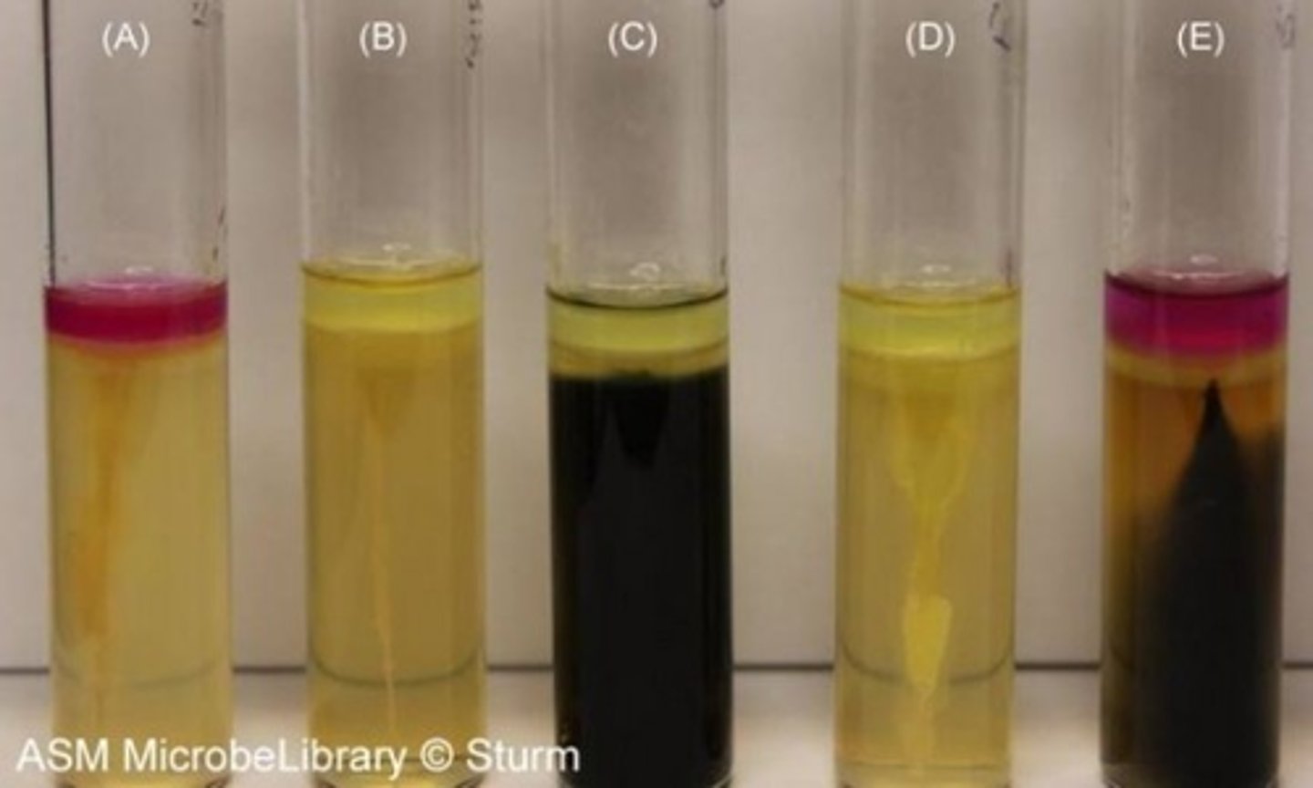 <p>black precipitate</p>