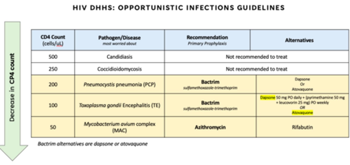 <p>If CD4 is >200, usually don’t treat!!!</p><p><200 always use bactrim</p><p><50 = use bactrim AND azithromycin</p>