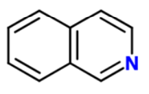 <p>Name this structure:</p>